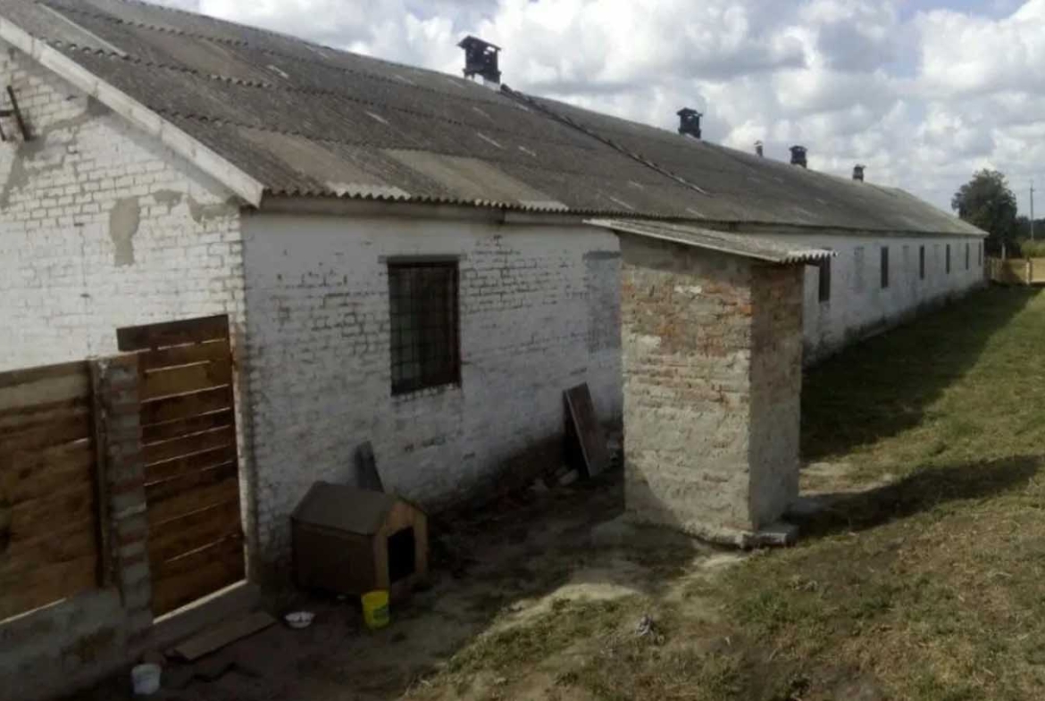 Фермерское хозяйство